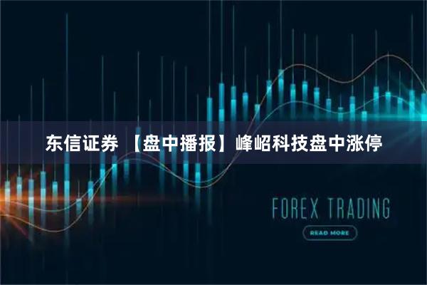 东信证券 【盘中播报】峰岹科技盘中涨停