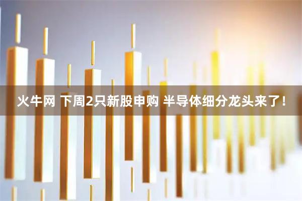 火牛网 下周2只新股申购 半导体细分龙头来了！