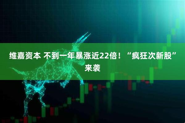 维嘉资本 不到一年暴涨近22倍！“疯狂次新股”来袭