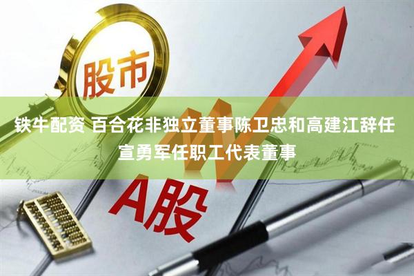 铁牛配资 百合花非独立董事陈卫忠和高建江辞任 宣勇军任职工代表董事