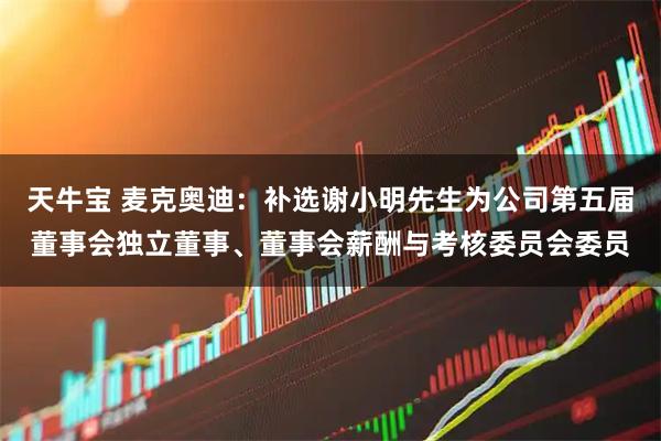 天牛宝 麦克奥迪：补选谢小明先生为公司第五届董事会独立董事、董事会薪酬与考核委员会委员