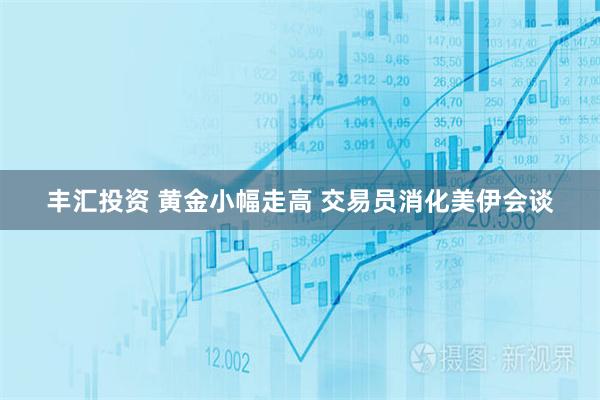 丰汇投资 黄金小幅走高 交易员消化美伊会谈