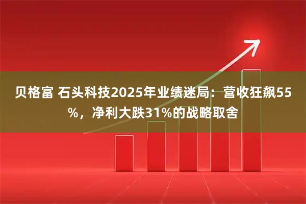 贝格富 石头科技2025年业绩迷局：营收狂飙55%，净利大跌31%的战略取舍